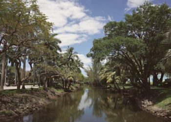 The Ecosystem Approach to College Funding: How I Escaped the $200,000 Debt Trap and Built a Resilient Financial Future