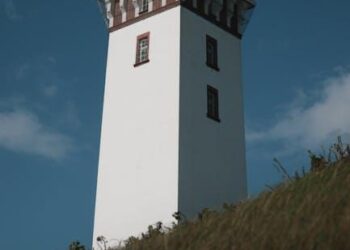 The Social Security Jungle: A Survivor’s Guide to Avoiding Predators, Finding Hidden Paths, and Claiming Your Maximum Benefit