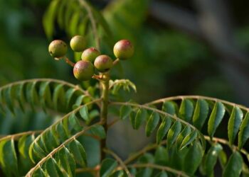 Beyond the Budget: How I Escaped the Cycle of Financial Failure by Treating My Money Like a Living Ecosystem