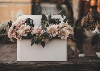 Forget Percentages: Why Your Wedding Budget Needs an Architectural Blueprint, Not a Pie Chart