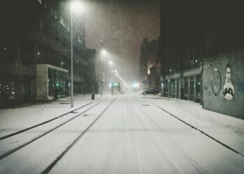 Learning to See the Snow: My Journey from the Market’s Chaos to the Calm of the Deep