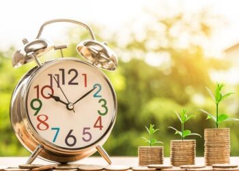 The Money Is Not in Your Accounts, It’s in the Connections Between Them: A Forester’s Guide to Growing Wealth