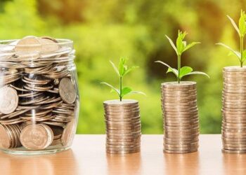 The Financial Greenhouse: A New Investor’s Guide to Brokerage Accounts