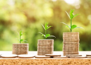 My Savings Account Was a Barren Wasteland. Here’s How I Learned to Grow a Financial Garden.