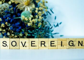 The Borrower’s Garden: A New Paradigm for Cultivating Student Loan Forgiveness