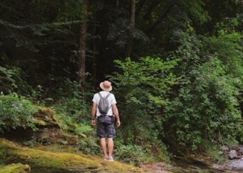 The Unofficial Instruction Manual: How I Escaped the Federal Loan Forgiveness Maze (And How You Can, Too)