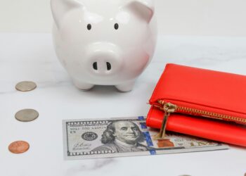 The Savings Compass: A Guide to Navigating Your Financial Future by Aligning Your Money with Your Life