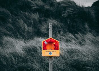 The 30-Year Mortgage Chart Isn’t a Life Sentence—It’s a Map. Here’s How to Redraw Your Path to Freedom.