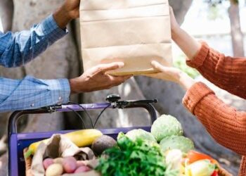 The Modern Consumer’s Guide to Decarbonizing the Shopping Cart: An Evidence-Based Framework for Impactful Action