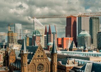 The Mycelial Method: How to Stop Budgeting and Start Cultivating Your Financial Life