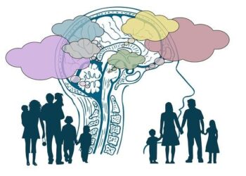 The $500 Will That Cost a Family $50,000: My Journey to a New Understanding of Estate Planning