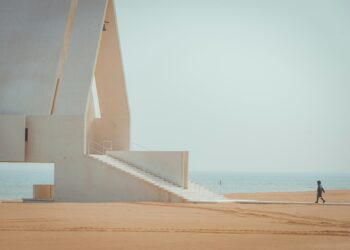 The Architect of Your Own Forgiveness: A Personal Journey Through the Labyrinth of PSLF