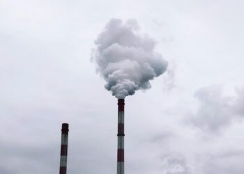 Beyond the Lightswitch: A Climate Investor’s Guide to Your Carbon Footprint