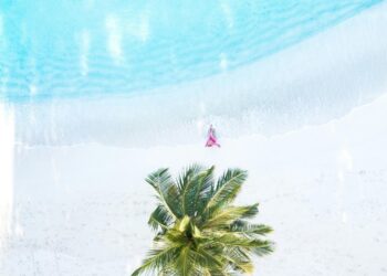 Your Definitive Guide to December Vacation Specials