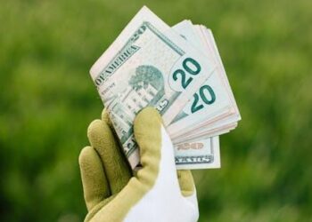 The Gardener’s Ledger: Finding Myself in the Lost Gardens of Finance