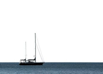 From Fog to Freedom: How to Use Your Debt Relief Portal to Navigate Your Way Out of Debt