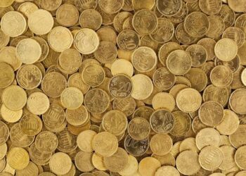 Beyond the Budget: How I Escaped the Anxiety Trap and Built Real Wealth by Treating My Finances Like a Living Ecosystem