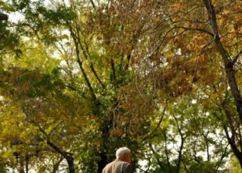 The 20-Year Rewilding: A Gen X Guide to Building a Thriving Retirement from a Barren Field