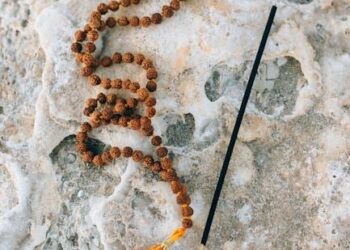 Beyond the Brochure: The Vacation Congruence Framework for Choosing a Family Resort That Actually Works